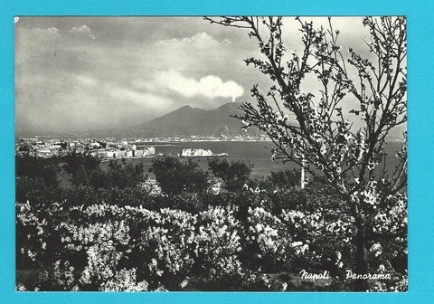 AK Napoli. Panorama.