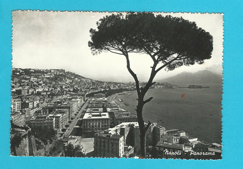 AK Napoli - Panorama.