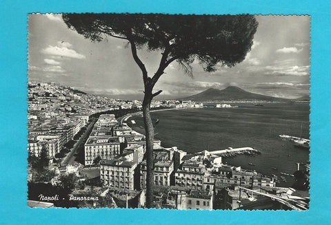 AK Napoli - Panorama.