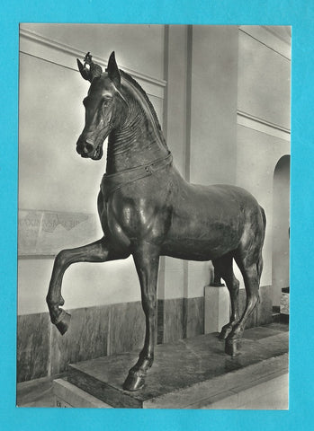 AK Museo Archeologico Nazionale di Napoli - Cavallo in bronzo da Ercolano.