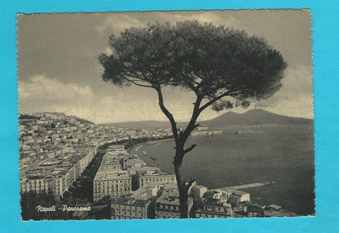 AK Napoli - Panorama.