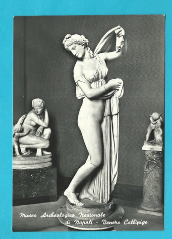 AK Museo Archeologico Nazionale di Napoli - Venere Callipige.