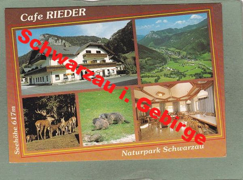 AK Schwarzau im Gebirge 15, Cafe Rieder.