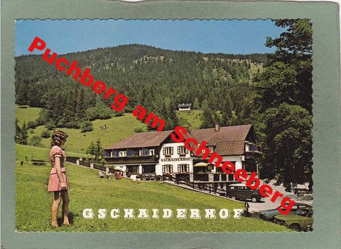 AK Puchberg am Schneeberg. Pension Gschaiderhof. Losenheim.