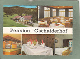 AK Puchberg am Schneeberg. Pension Gschaiderhof.