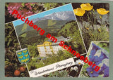 AK Puchberg am Schneeberg. Urlauberhaus Strengberg des Kultur- und Sportvereins der Wiener Verkehrsbetriebe.