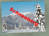 AK Blick zum Schneeberg.