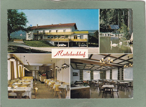 AK Kirchberg am Wechsel. Molzbachhof. Inh. Toni Pichler.