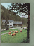 AK Trattenbach. Alpengasthof Kummerbauer-Stadl.