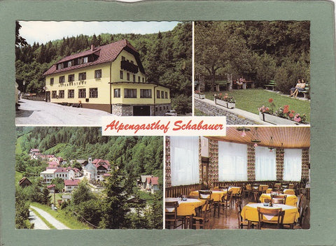 AK Trattenbach am Wechsel. Alpengasthof Schabauer.