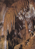 AK Hermannshöhle. Tropfsteinhöhle bei Kirchberg am Wechsel.  Baldachin in der Forscherhalle.