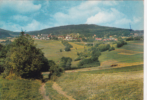 AK Höhenluftkurort Mönichkirchen.