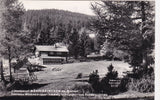 AK Mönichkirchen am Wechsel. Gasthaus Mönichkirchner-Schwaig und Gasthof Enzian.