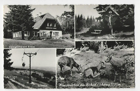 AK Mönichkirchen am Wechsel / Schwaig. Alpengasthof zum Enzian. Studentenkreuz. Sessellift.