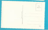 AK Mönichkirchen am Wechsel. Wildgans-Fichte.