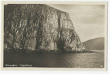 AK Norwegen. Vogelberg.