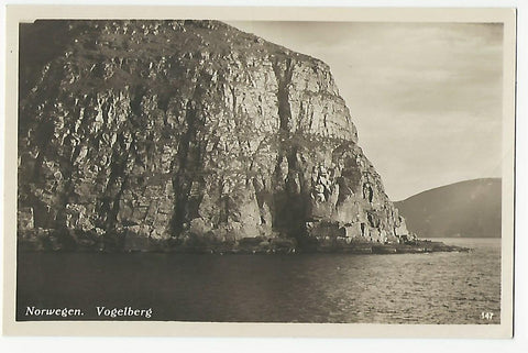 AK Norwegen. Vogelberg.