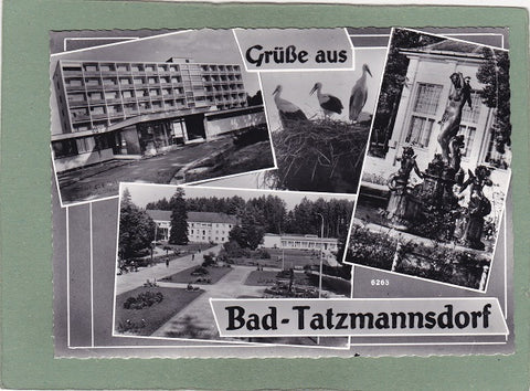 AK Grüße aus Bad Tatzmannsdorf.