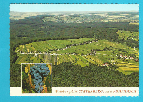 AK Kohfidisch. Weinbaugebiet Csaterberg.