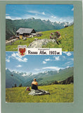 AK Gasthof Roana Alm im Debanttal. Bes. Josef Obersteiner, Iselsberg 19, Dölsach.