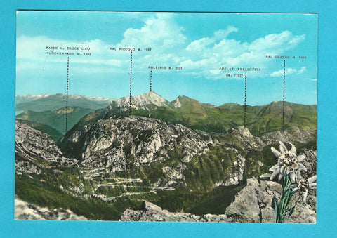 AK Timau. Strada di Monte Croce Carnico.