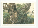 AK Michelangelo Grigoletti, Tronchi d'albero e foglie. Dal catalogo Il Museo Civico d'arte di Pordenone.