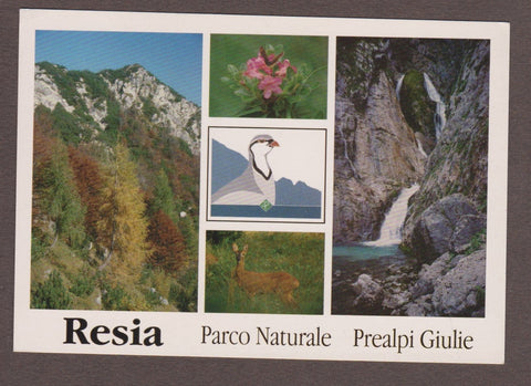 AK Resia. Parco Naturale Prealpi Giulie.