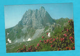 AK Monte Chiadenis. Alpi Carniche.