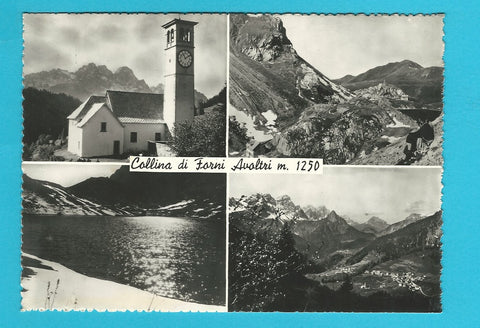 AK Collina di Forni Avoltri.