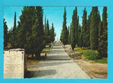 AK Sacrario di Redipuglia. Zona Sacra - Colle di S. Elia - Vecchio Cimitero degli Invitti.