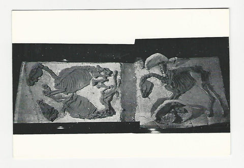 AK Adria - Museo Archeologico.