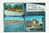 AK Villaggio Turistico Rosapineta. Rosolina Mare.
