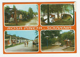 AK Villaggio Turistico Rosapineta. Rosolina Mare.