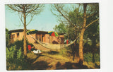 AK Villaggio Turistico Rosapineta. Rosolina.