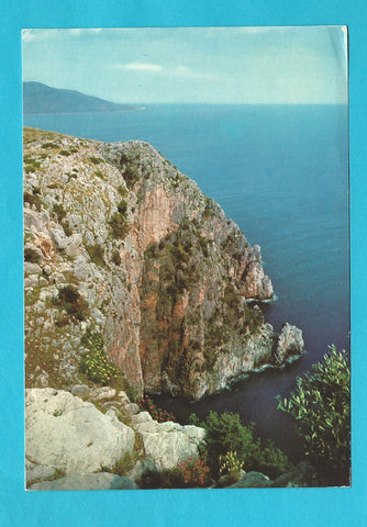 AK Palinuro. Appicchi Punta Mammone.