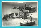 AK Salzburg. Haus der Natur.