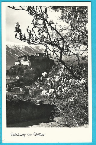 AK Salzburg in Blüten.