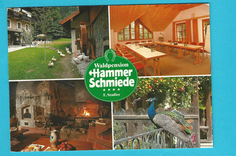 AK Anthering bei Salzburg. Waldpension Hammerschmiede.