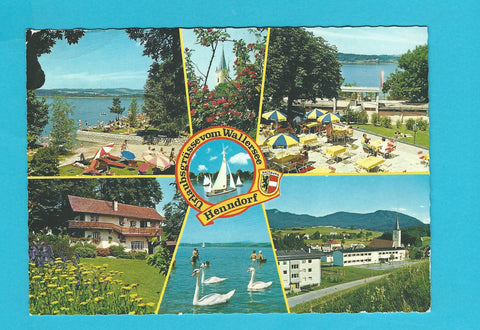 AK Urlaubsgrüße vom Wallersee. Henndorf.