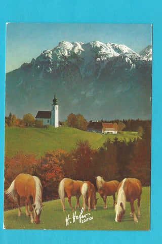 AK Blick vom Berg- u. Sporthotel Neubichler-Alm gegen St. Johannishögl und Untersberg.