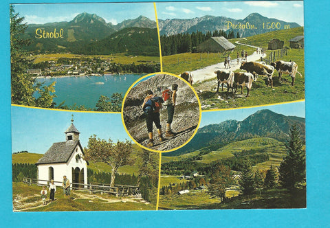 AK Postalm. Strobl am Wolfgangsee.
