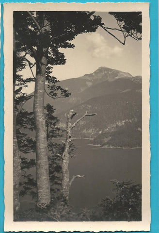 AK St. Gilgen am Abersee. Schafberg vom Lenkweg. (1930)