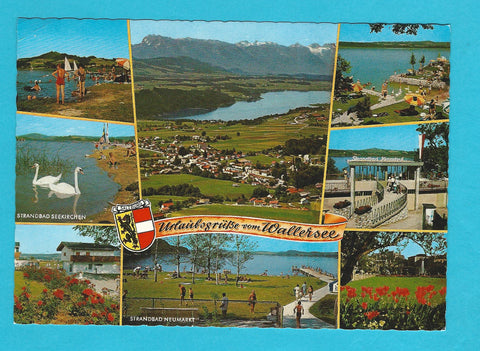 AK Urlaubsgrüße vom Wallersee.
