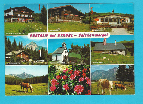 AK Postalm bei Strobl.