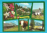 AK Postalm bei Strobl.