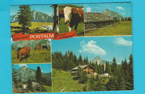 AK Grüsse von der Postalm bei Strobl am Wolfgangsee.
