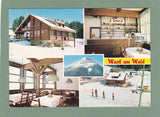 AK Puchenstuben, Gasthaus Wastl am Wald, Waldgegend 5.