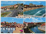 AK Senigallia.