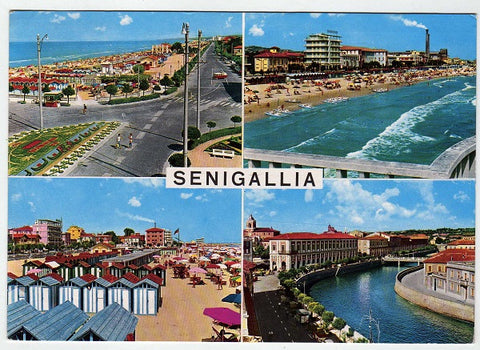 AK Senigallia.