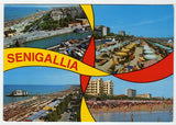 AK Senigallia.